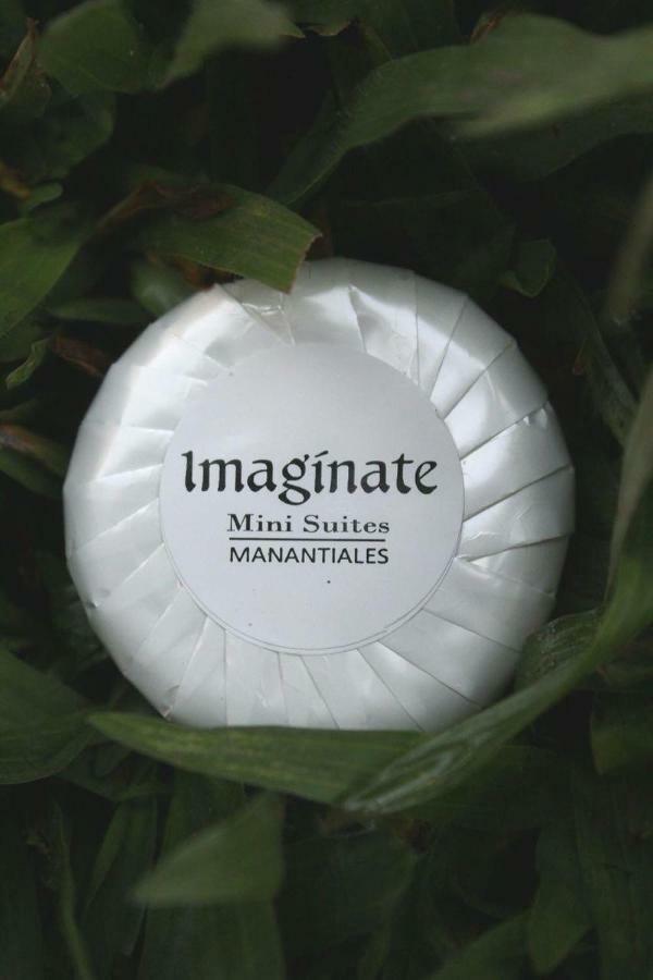 Manantiales Imaginateアパートホテル エクステリア 写真
